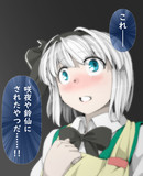 手練れ者、妖夢。