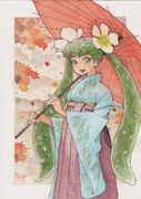 紅葉狩りを楽しんでる白石梅花藻姫