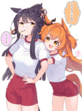 マヤブラ