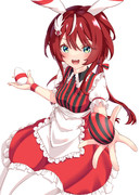 バニーウインバリアシオン