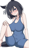 エイシンフラッシュ