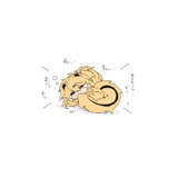 ﾆﾎﾝｶｽｶﾍﾞｼﾏﾘｽ　ｻﾐｼｲﾖ