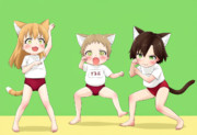 ブル猫部隊！出撃だニャン！！