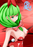 バニー雛