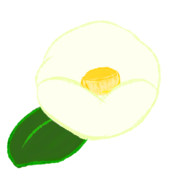 【素材】椿・白・和風【フリー素材処くらげや】