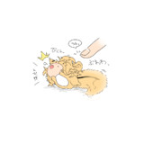 ﾆﾎﾝｶｽｶﾍﾞｼﾏﾘｽ　ﾂﾂｸﾖ