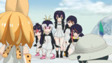 南極の日