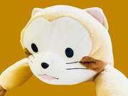 ラスカル
