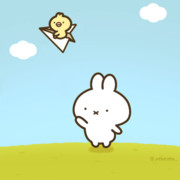 飛行機の日だよ