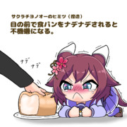 サクラチヨノオーのヒミツ（捏造）