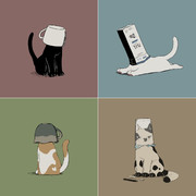 drink cat