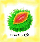 口みたいな栗