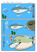 ぶりの日なので
