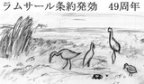 【コミケと】ラムサール条約発効49周年【同日】