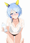 濡れ透ケイエス