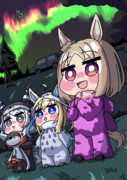 オーロラに感動するヒシミラクルたち