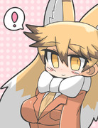 キタキツネ
