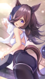 トレーニングライス