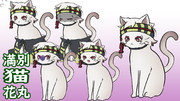 猫満別花丸猫立ち絵素材猫