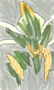アルセルタス