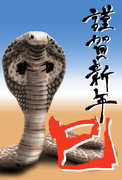 それは紛れもなくヤツさ