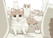 猫ちゃん