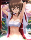 飛馬始め