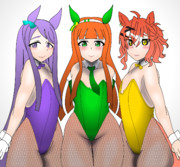 バニーマックスズカポッケ