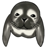 アザラシちゃん！