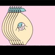 あぁ～レモンになっちまうよ