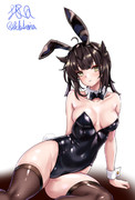 初月　バニー
