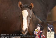 まんはったんかふぇ の ぶれいくたいむ １９１はいめ【イクイノックスの初年度産駒 誕生！】