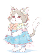 ラグドール猫ちゃん