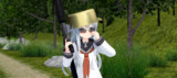お前は、どの種類の艦娘だ？