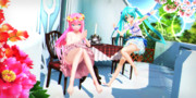 【今日のYYBルカさん】おさんぽの合間に のんびりお茶会…♪