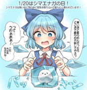 1/20はシマエナガの日！