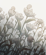 才の花