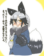 あったかいギンギツネ。