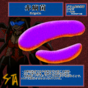 赤痢菌