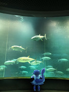 水族館