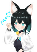 みゃーみゃーみゃーまい