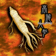 高麗人参