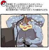 ポケモンとの日常　ゲーマーカイリキー