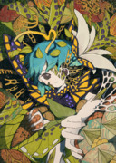 アゲハの夢