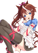 バレンタインテイオー