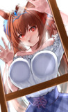 ダスカは見た