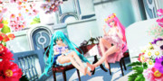【今日のYYBルカさん】おみあし天地たちの お茶会…♡