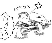 らくがきクサガメ