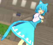 猫の日