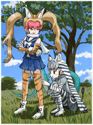 シマシマはっけん！